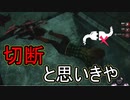 【PS4/ランク１トラッパー】異次元DBD