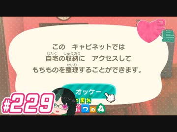 【 あつまれどうぶつの森 】 ♥²島開拓記録229【 Vtuber 】
