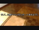 【インセイン】お届け物です【実卓リプレイ】