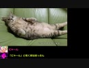 一般人のおっさんがDDRを頑張る！part6