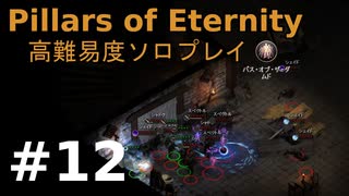 人気の Pillars Of Eternity 動画 159本 2 ニコニコ動画
