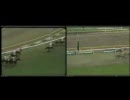 【競馬】★比較動画★83年東京優駿・84年東京優駿