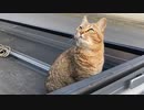 いろいろ悩みます…