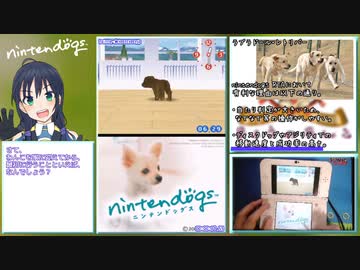 ニンテンドッグス  RTA  12:40  解説動画