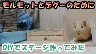 【DIY】DIYで撮影ステージ作ってみた（粗大ゴミ）【モルモット、デグー】