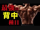 【筋トレ】背中を鍛えるのに最も効果的な種目【ビーレジェンド プロテイン】