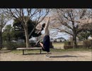 【美夜美】リバースユニバース 踊ってみた