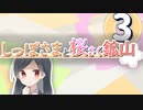 【ポケモン剣盾ダブル】しっぽさまと桜さく鉱山 第3話