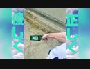 躁鬱ひふみ『正しく優しく』
