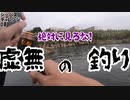 釣りの過酷な現実【シーバスチャレンジ08】