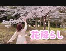 【桜の下で】花降らし 踊ってみた【オリジナル振付】