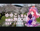 【006 三井寺】ゆゆこと巡る和歌の旅 【昔ながらの 山桜かな】