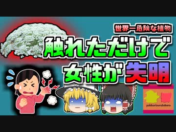 【2009年アメリカ】触れただけで失明する世界一危険な植物に侵された女性【ゆっくり解説】