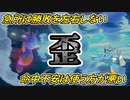 【ポケモン剣盾】だって、あんなの当てられない方が悪いんじゃんって思って【ダブルバトル】