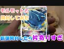 【ポケカ開封】『タイムゲイザー』モルモットと開封してみた【モルモット】