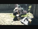人喰いの大鷲トリコ　実況プレイPart３
