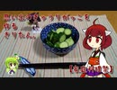 思い出のきゅうりがっこを作るきりたん。【家庭料理祭】
