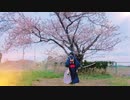 【7周年】三日月宗近｢夢現乱舞抄｣踊ってみた【所詮千尋】