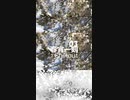 Chillout「春宵一刻 03」※01341-S