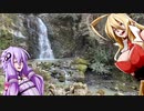 ゆかりさんのゆるポタ１７　ツール・ド・玉川っぽいコース走ります