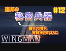 【ゆっくり実況】ほぼ1人で作ったエスコンが凄いらしい Part12【Project Wingman】
