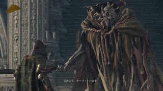 【ELDENRING】ARIA姉妹のエルデンリング11【ONEちゃんの征夷大将軍を目指せ】