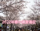 【歴史散歩】2022年春の鎌倉遠征（６回目。今回は鶴岡八幡宮、大河ドラマ館、若宮大路幕府跡、和田塚、由比ヶ浜、満福寺へ行ってきました）