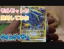 【ポケカ開封】『タイムゲイザー』モルモットと開封すっぞ【モルモット】
