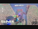 サクッとBotW【ゼルダの伝説BotW実況】#23
