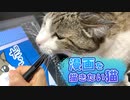 漫画を描きたい猫