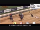 ホモと見る中国の競馬