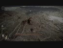【Elden Ring】水鳥乱舞の対処法のひとつ