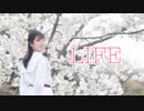 【すだち】LIFE 踊ってみた【誕生日】