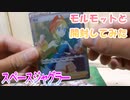 【ポケカ開封】『スペースジャグラー』モルモットと開封してみた【モルモット】