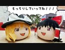 ゆっくり霊夢と魔理沙のぬいぐるみをゆっくり霊夢と魔理沙が紹介