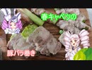 ついなちゃん達と作る春キャベツの豚バラ巻き　＃１１