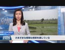 コロナ脳の末路・感染拡大の中国が農作業にも許可証を義務化
