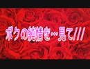 ボクの純情を…見て///