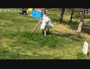家族連れのいる公園で卑猥な歌を歌う生主