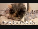 猫のふみふみ・・・