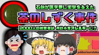 【2010年日本】石鹸が原因で小麦アレルギーに！？「茶のしずく騒動」【ゆっくり解説】