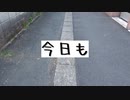 今日も