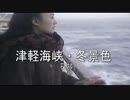津軽海峡・冬景色　歌ってみた (covered by アルゴン)