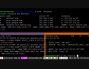 dnsクエリをスパイする dnspeepを試してみる