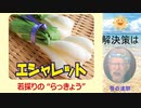免疫毒　解毒　浄化　具体的な方法　30年の塩屋が説明　ラッキョウ　塩ほうじ茶