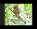 メガネザル － 八紗（やしゃ)