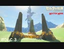 夜に盾サーフィンしてはいけない【ゼルダの伝説 ブレスオブザワイルド マスターモード】#DLC3