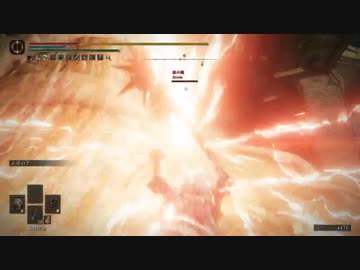 【生声注意】多々鷹骨折り民用・多々鷹の悲鳴その２【エルデンリング侵入】