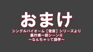 おまけ＃4「なんちゃって語学」