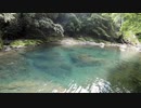 【高知県】エメラルドグリーンの川でアマゴ釣り！馬路村、夏の渓流釣り【渓流ルアー・アマゴ】